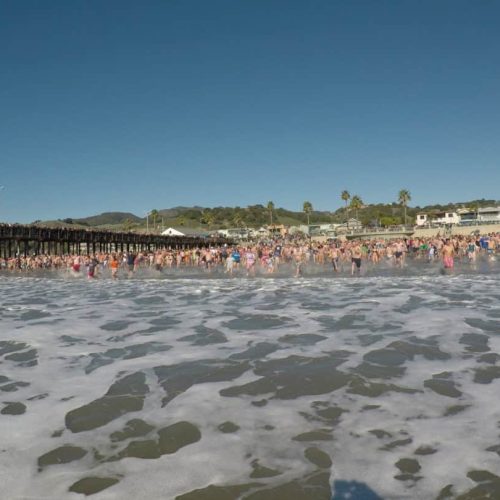 entry-avila-polar-bear-plunge Avila Beach Polar Bear Plunge Starting Line