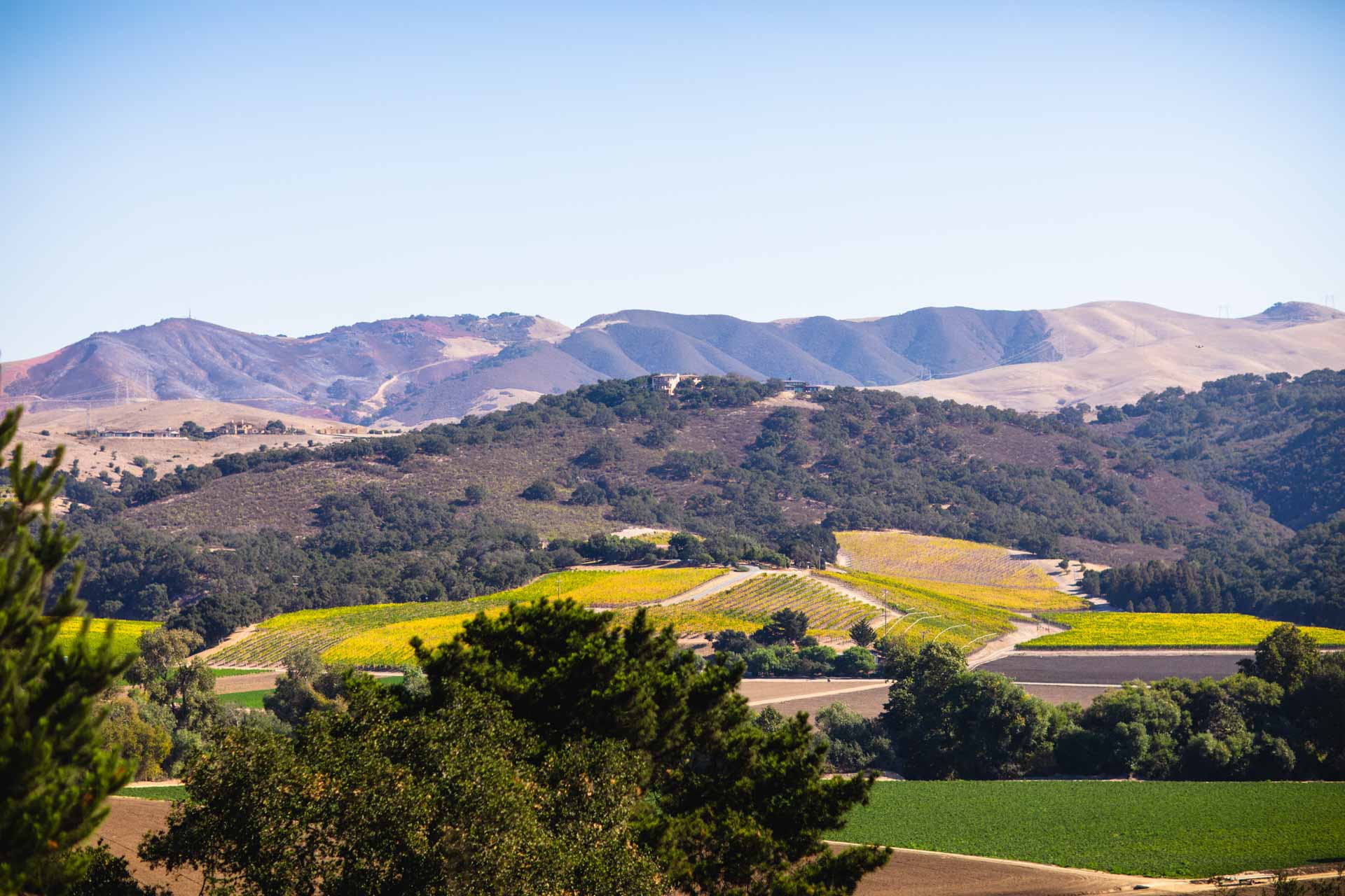 Casitas Estate, Arroyo Grande