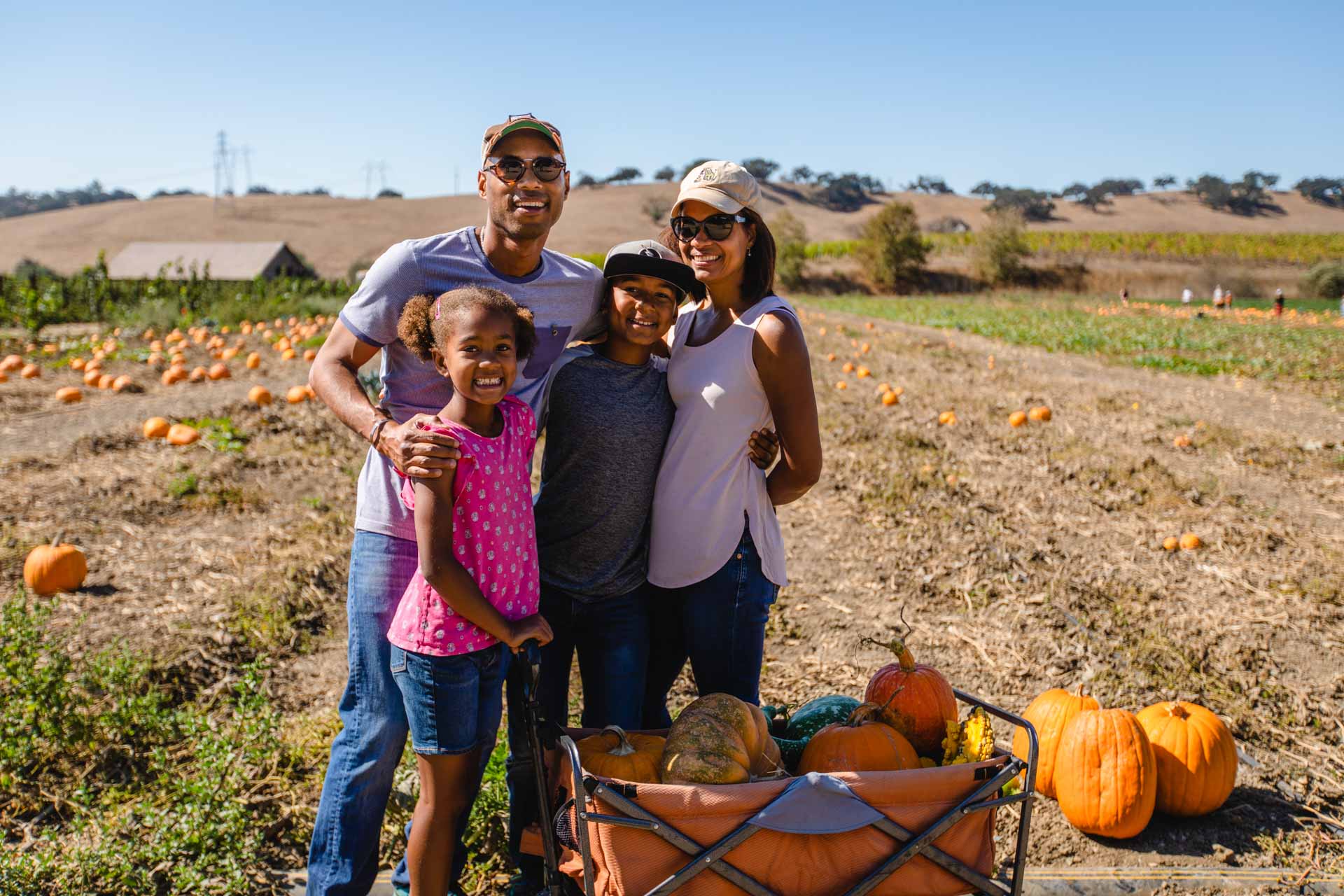 pumpkin patch at Talley Farms, Arroyo Grande