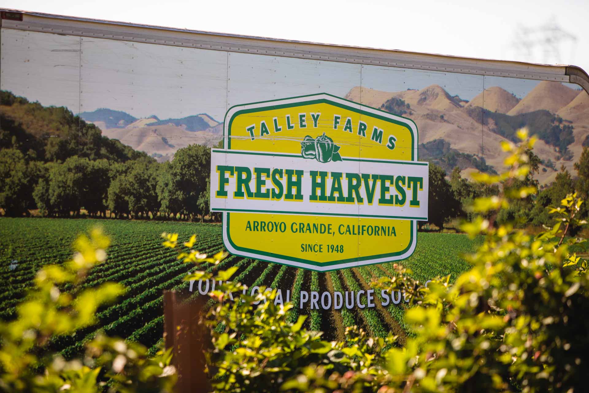 Talley Farms, Arroyo Grande