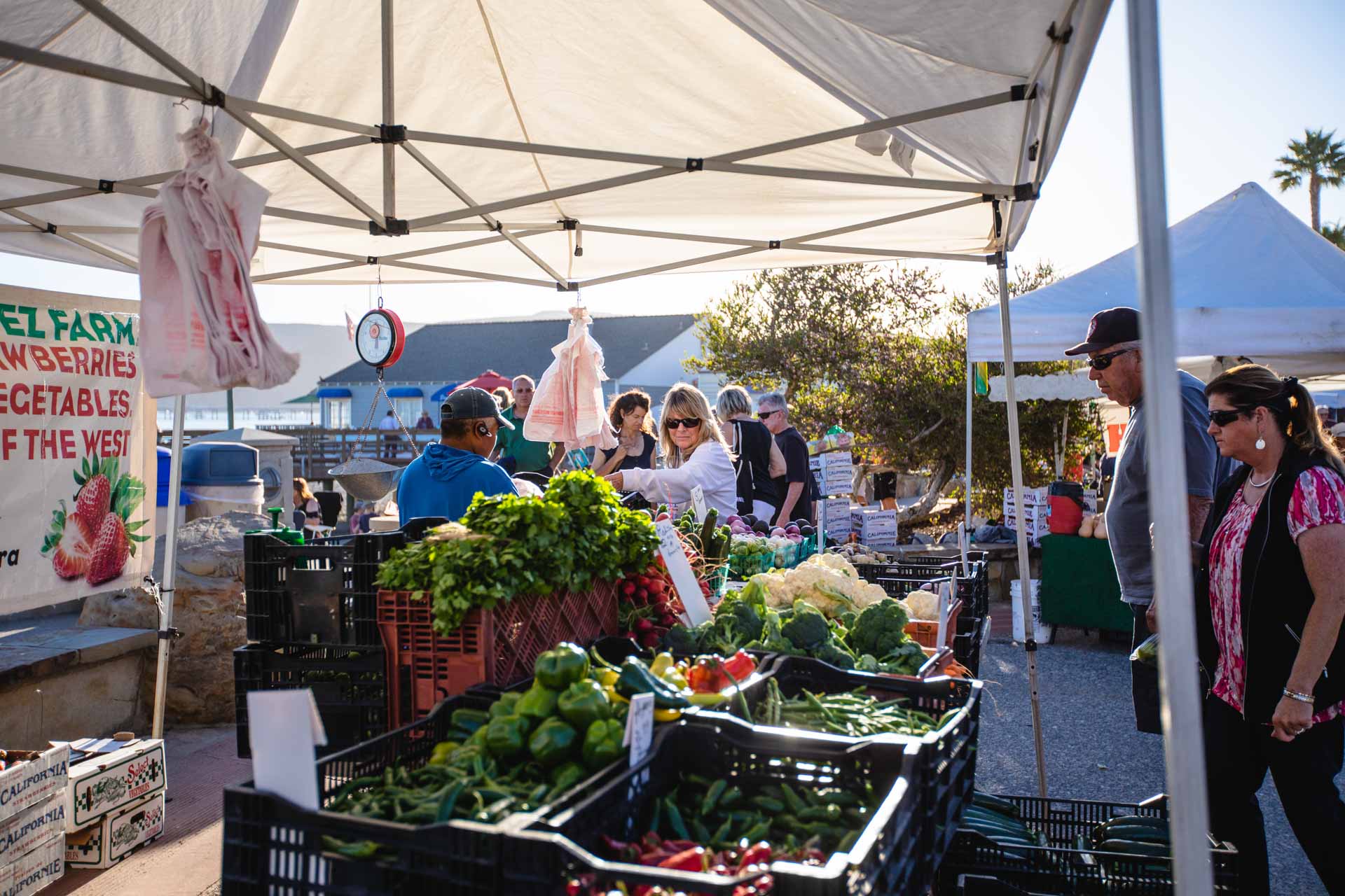 Farmers market, Avila Beach