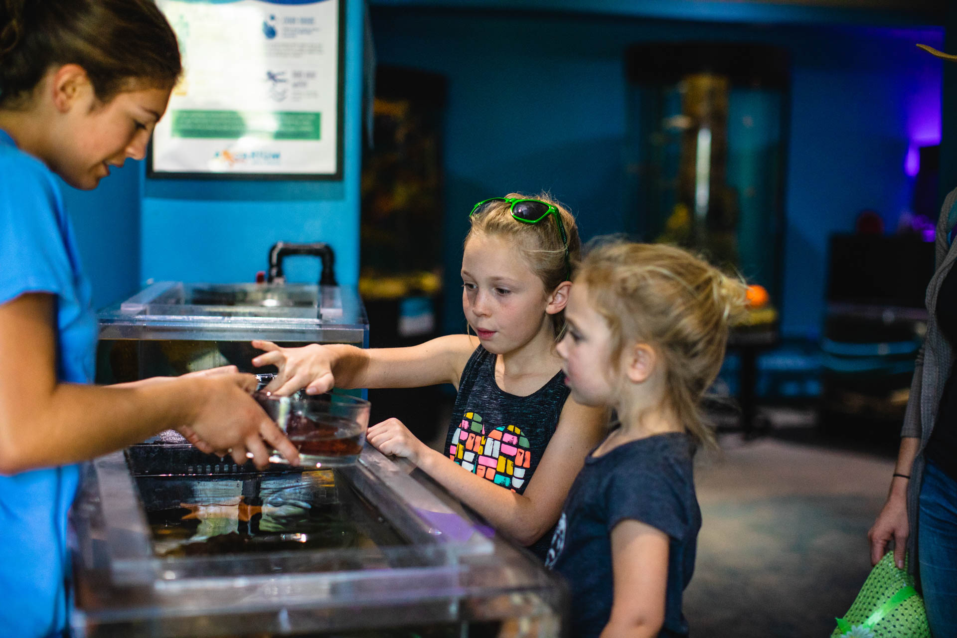 Central Coast Aquarium, Avila Beach