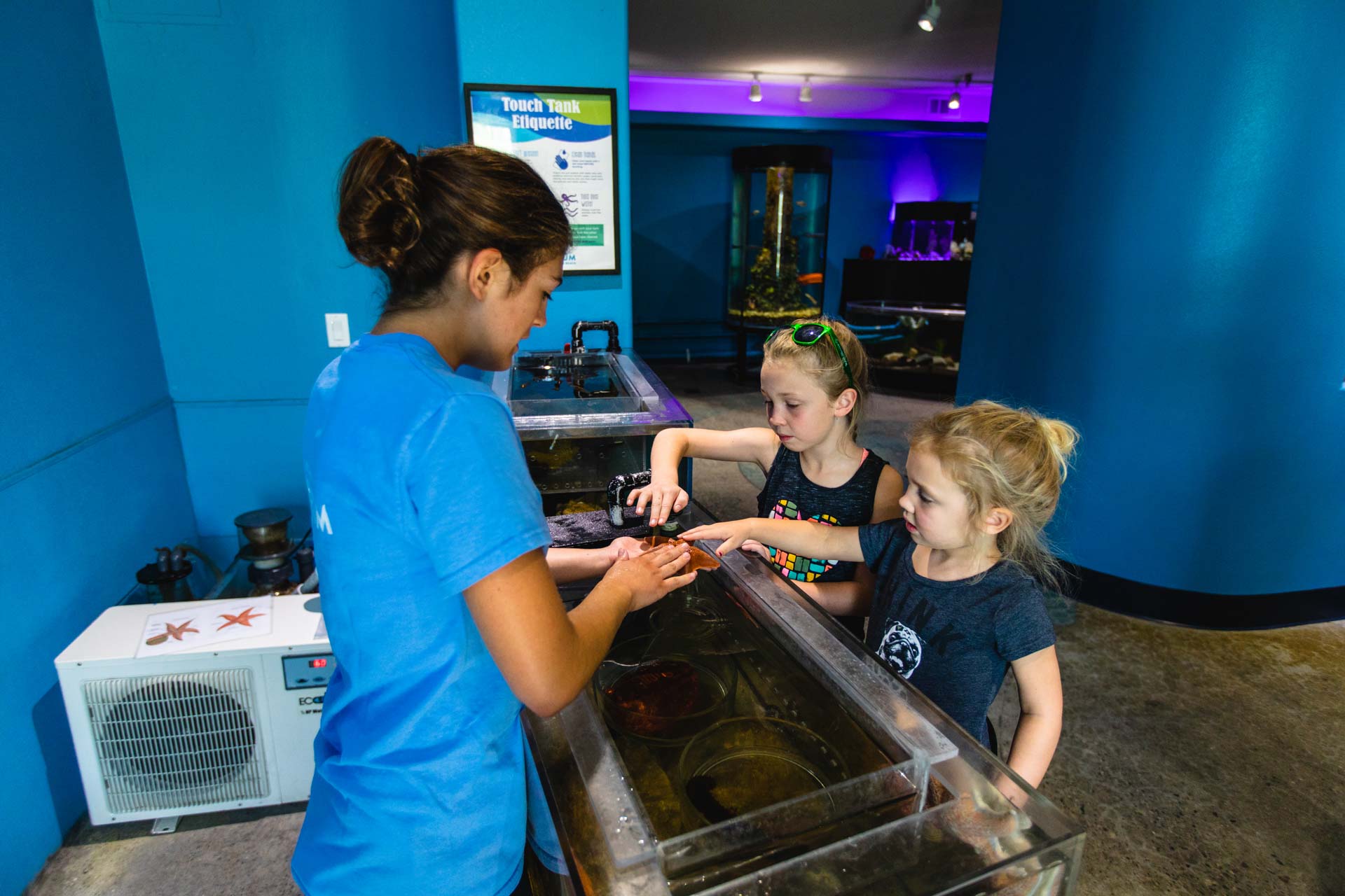 Central Coast Aquarium, Avila Beach