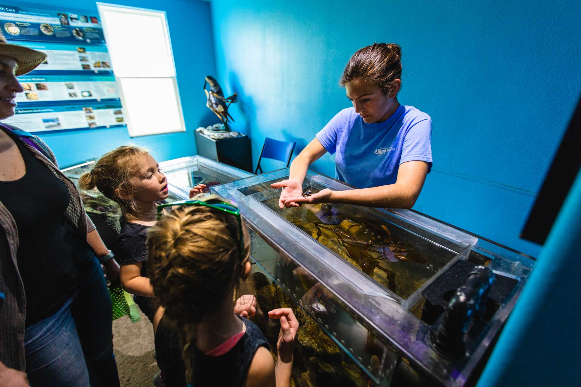 Central Coast Aquarium, Avila Beach