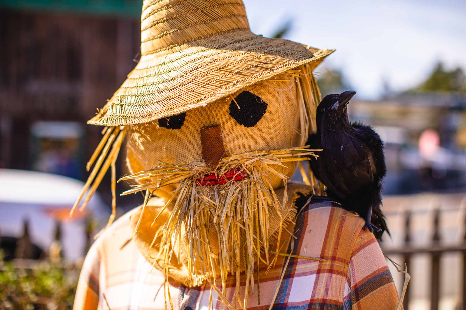 Cambria Scarecrow Festival