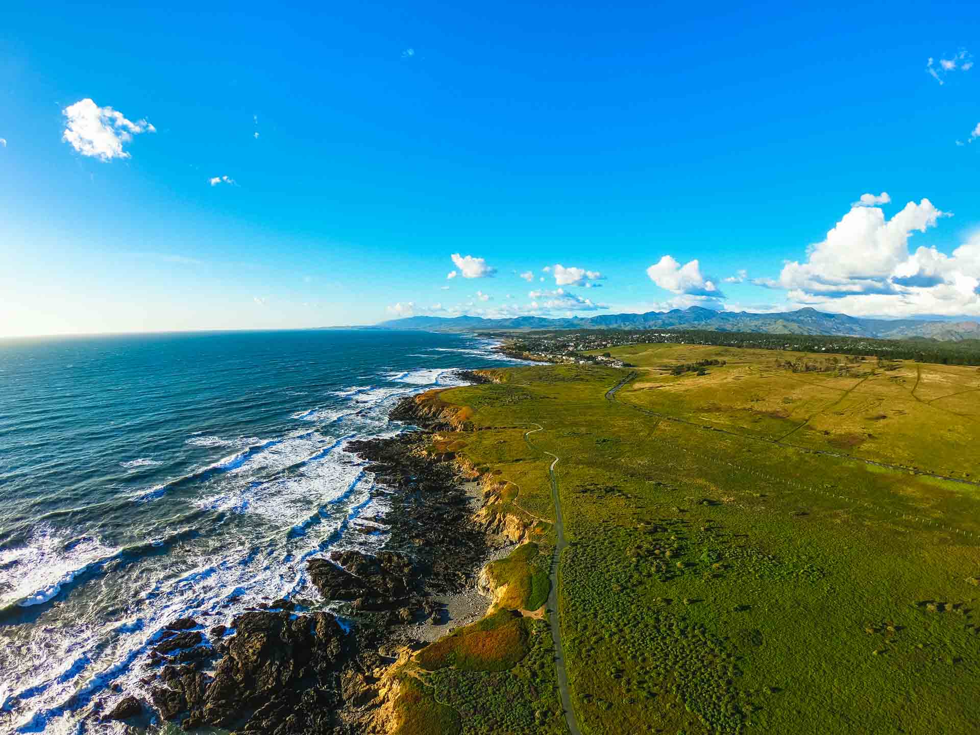 Fiscalini Ranch Preserve, Cambria