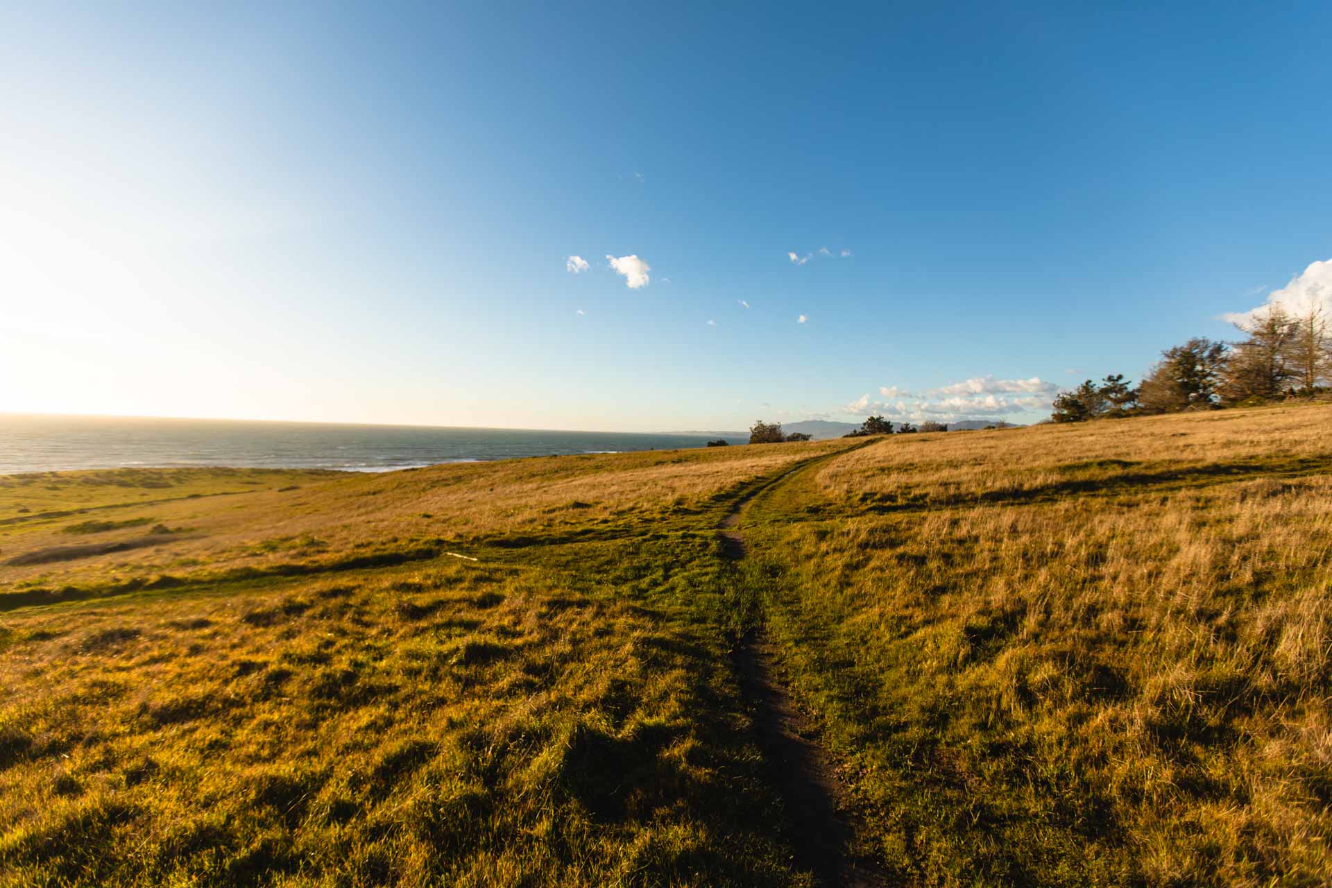 Fiscalini Ranch Preserve, Cambria