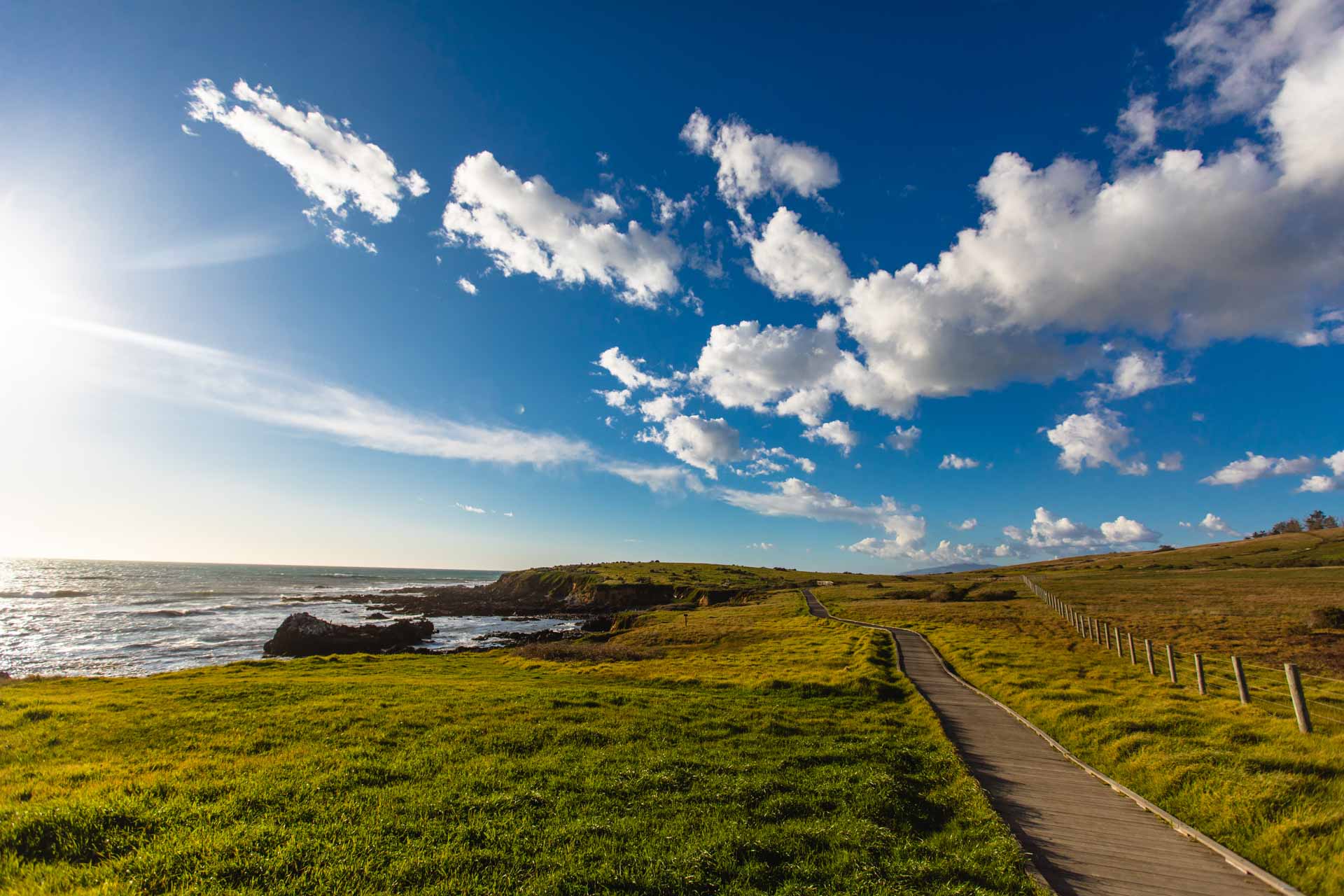 Fiscalini Ranch Preserve, Cambria