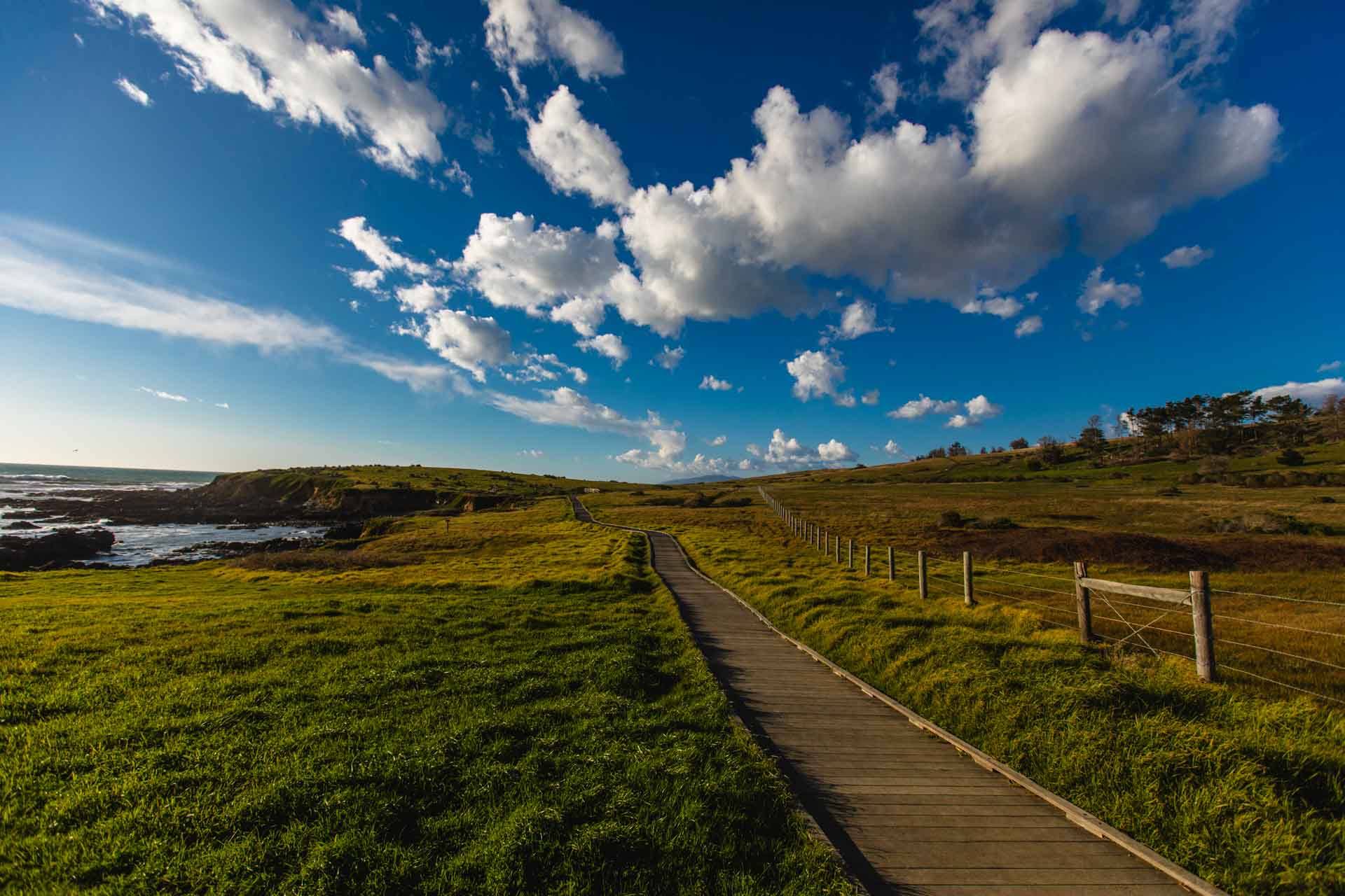 Fiscalini Ranch Preserve, Cambria